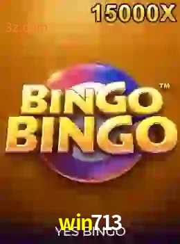 bingobingo